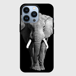 Чехол iPhone 13 Pro Старый слон