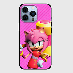 Чехол для iPhone 13 Pro Amy Rose, цвет: 3D-черный