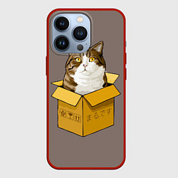Чехол для iPhone 13 Pro Котик в коробке, цвет: 3D-красный