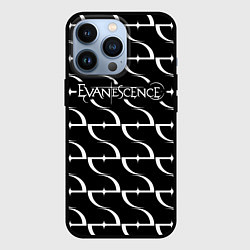 Чехол iPhone 13 Pro Evanescence