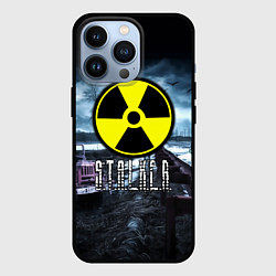 Чехол для iPhone 13 Pro S.T.A.L.K.E.R: Radiation, цвет: 3D-черный