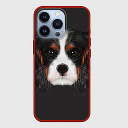 Чехол для iPhone 13 Pro Cavalier King Charles, цвет: 3D-красный