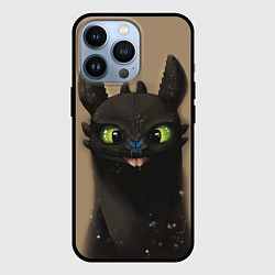 Чехол iPhone 13 Pro Как приручить дракона