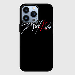 Чехол для iPhone 13 Pro Stray Kids, цвет: 3D-черный