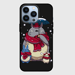 Чехол для iPhone 13 Pro My Neighbor Totoro, цвет: 3D-черный