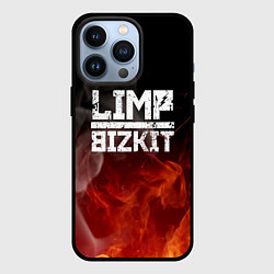 Чехол для iPhone 13 Pro LIMP BIZKIT, цвет: 3D-черный