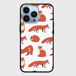 Чехол iPhone 13 Pro Лисий хвост