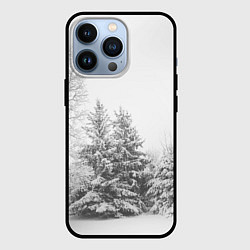 Чехол для iPhone 13 Pro Winter Storm, цвет: 3D-черный