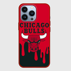 Чехол для iPhone 13 Pro Chicago Bulls, цвет: 3D-красный