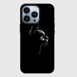 Чехол для iPhone 13 Pro Кошка, цвет: 3D-черный
