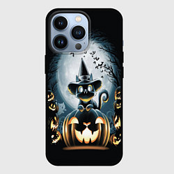 Чехол для iPhone 13 Pro Хэллоуин Кот, цвет: 3D-черный