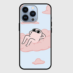 Чехол для iPhone 13 Pro Мем, цвет: 3D-черный