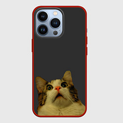 Чехол для iPhone 13 Pro Коте смотрит вверх, цвет: 3D-красный