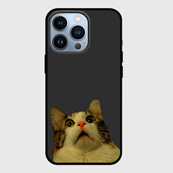 Чехол для iPhone 13 Pro Коте смотрит вверх, цвет: 3D-черный
