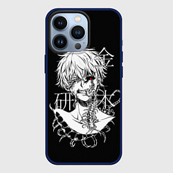 Чехол iPhone 13 Pro Ken and scolopendra