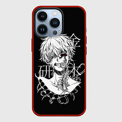 Чехол для iPhone 13 Pro Ken and scolopendra, цвет: 3D-красный