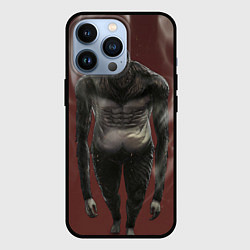 Чехол для iPhone 13 Pro Титан, цвет: 3D-черный