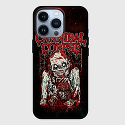Чехол для iPhone 13 Pro Cannibal Corpse, цвет: 3D-черный