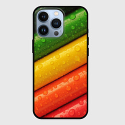Чехол iPhone 13 Pro Цветные линии