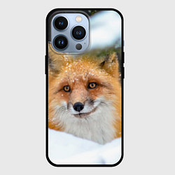 Чехол для iPhone 13 Pro Лисичка на сугробе, цвет: 3D-черный