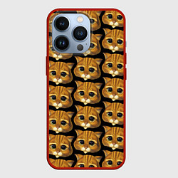 Чехол iPhone 13 Pro Кот в сапогах из Шрека