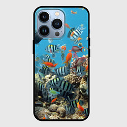 Чехол iPhone 13 Pro Коралловые рыбки