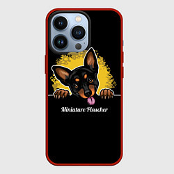 Чехол iPhone 13 Pro Пинчер Miniature Pinscher