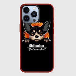 Чехол для iPhone 13 Pro Чихуахуа Chihuahua, цвет: 3D-красный