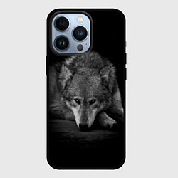 Чехол для iPhone 13 Pro Волк, на черном фоне, цвет: 3D-черный