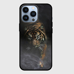 Чехол для iPhone 13 Pro Тигр в тумане, цвет: 3D-черный