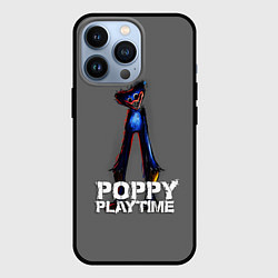 Чехол для iPhone 13 Pro HUGGY WUGGY POPPY PLAYTIME, цвет: 3D-черный