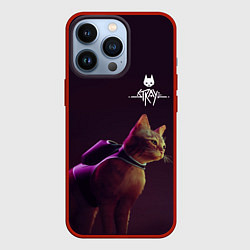 Чехол iPhone 13 Pro Stray: Wandering Cat