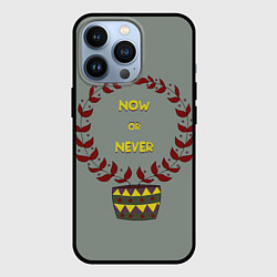 Чехол iPhone 13 Pro Цветочный горшок now or never