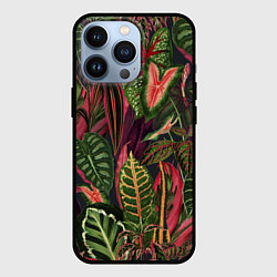 Чехол iPhone 13 Pro Красные Тропики