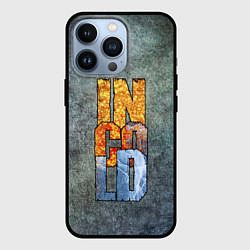 Чехол для iPhone 13 Pro IN COLD logo on a gray background, цвет: 3D-черный