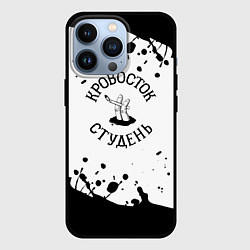 Чехол iPhone 13 Pro Кровосток черная краска