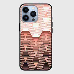 Чехол для iPhone 13 Pro Hexagon Minimal, цвет: 3D-черный