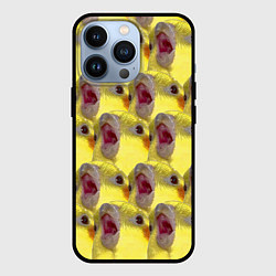 Чехол для iPhone 13 Pro Попугай Корелла Орёт Мем, цвет: 3D-черный