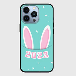 Чехол для iPhone 13 Pro Символ 2023 года, цвет: 3D-черный