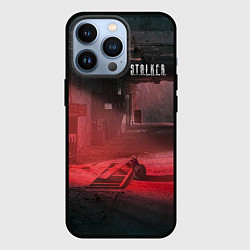 Чехол для iPhone 13 Pro STALKER Кот Смотрит В Окно Во Время Выброса, цвет: 3D-черный