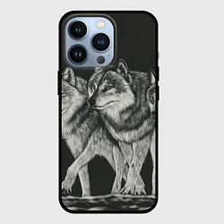 Чехол для iPhone 13 Pro Три волка, цвет: 3D-черный