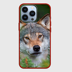 Чехол iPhone 13 Pro Волк на фоне зелени