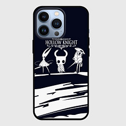 Чехол iPhone 13 Pro Hollow knight - краска