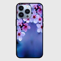 Чехол iPhone 13 Pro Цветы дерева Черри Блоссом