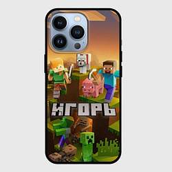 Чехол для iPhone 13 Pro Игорь Minecraft, цвет: 3D-черный