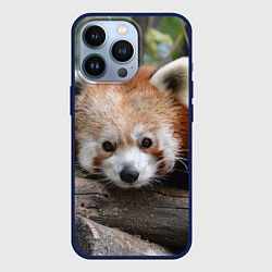 Чехол для iPhone 13 Pro Красная панда, цвет: 3D-тёмно-синий