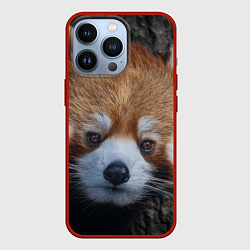 Чехол для iPhone 13 Pro Крaсная панда, цвет: 3D-красный
