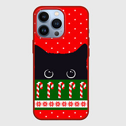 Чехол iPhone 13 Pro Котик: новогодний свитер