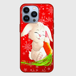 Чехол для iPhone 13 Pro Весёлый кролик с морковкой, цвет: 3D-красный