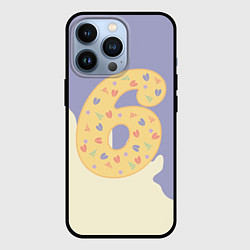 Чехол iPhone 13 Pro Мне 6